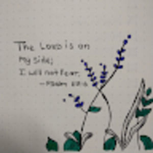 Meet your Posher, Kate